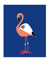Illustration of a flamingo.