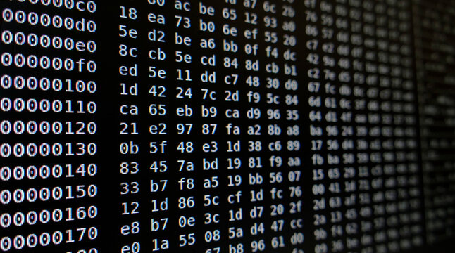 Hex dump of a binary