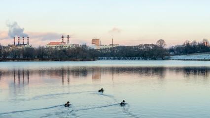 Fototapeta na wymiar Birds on Lake at Sunset in Front of Factory Smokestacks. Hydrothermal power plant on lake with ducks.