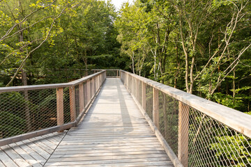 The new tree-top walk in Heringsdorf as an excursion destination