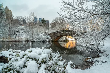 Photo sur Plexiglas Pont de Gapstow Gapstow Bridge dans Central Park après le blizzard