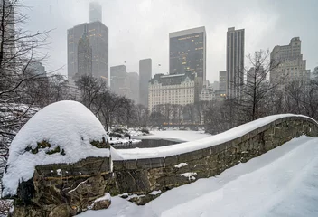 Deurstickers Gapstow Brug Gapstow Bridge in Central Park na sneeuwstorm