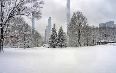 Central Park in winter after blizzard