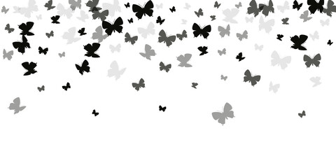 Tropical black butterflies flying vector wallpaper. Spring colorful insects. Fancy butterflies flying fantasy background. Sensitive wings moths patten. Fragile creatures.