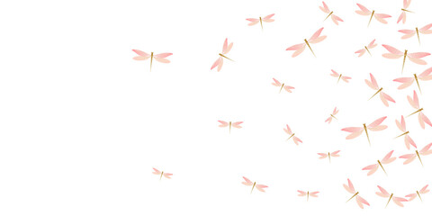 Magic rosy pink dragonfly isolated vector background. Spring ornate insects. Fancy dragonfly isolated fantasy illustration. Gentle wings damselflies graphic design. Garden beings