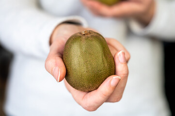 Reaching a kiwi hand healthy diet female white clothing