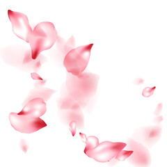 Fototapeta premium Pink sakura flower flying petals isolated on white vector background.
