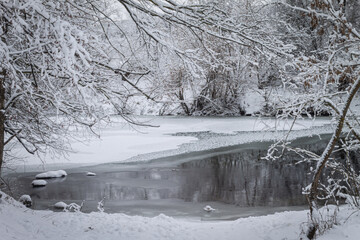 Winter forest by the river. Very beautiful natural background.