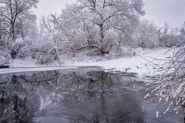 Winter forest by the river. Very beautiful natural background.