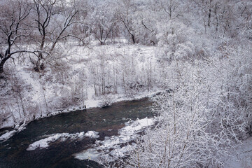 Winter forest by the river. Very beautiful natural background.