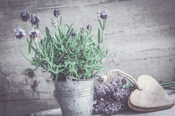 Dekoration mit Lavendel und Herz vor Holz Vintage Platz für Text