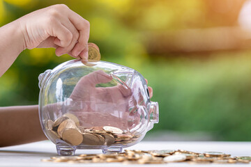 Boy hand hold the gold coin with save money to the crystal piggy bank put on the wood in the backyard, Saving money for education and the investment concept.