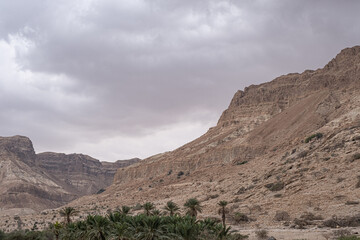 View of Judean desert mountains  and the entrance into Wadi Arugot canyon, located on the western coast of the Dead Sea as seen from Ein Gedi Hostel, Ein Gedi National Park & Nature Reserve, Israel  