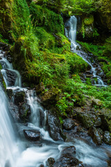 Fototapeta premium Auvergne