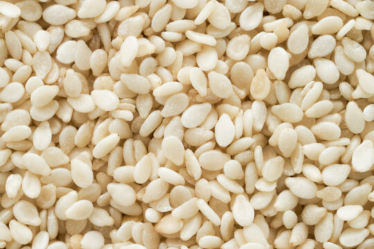 Sesame seeds as background. Flat lay, copy space