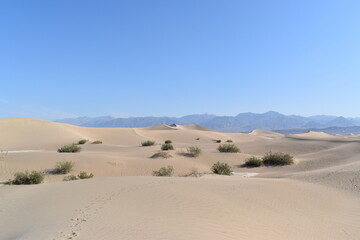 Sandy dunes with green bushes and brown rocky mountains on cloudless day in desert