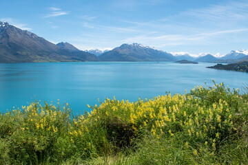 Naklejka na ściany i meble Yellow flowers in front of bright blue water lake in mountains