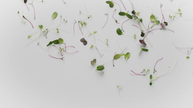 Organic Greens jump and fly, filmed on a white background. Healthy Nutrition. 