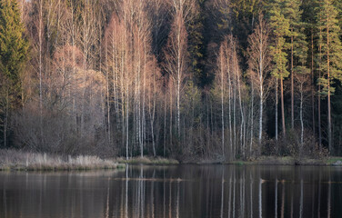 Autumn forest trees are reflected in the river. lake in autumn forest.