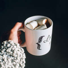 mug with hot chocolate with marshmallow. winter morning