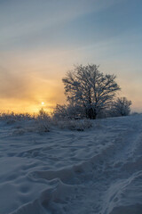 sunset in winter