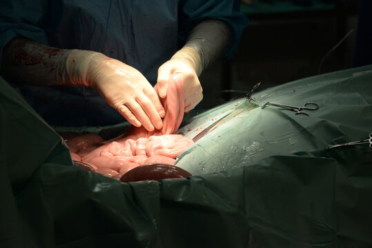 Kolikoperation in der Pferdeklinik, Details