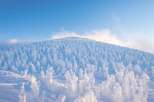 樹氷」の写真素材 | 20,841件の無料イラスト画像 | Adobe Stock
