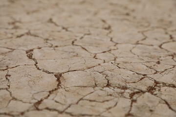 Close up detail of dry cracked brown earth
