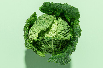 Savoy cabbage on light green background with hard light. healthy vegan food