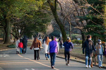 代々木公園の散歩