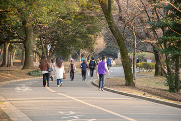 代々木公園の散歩