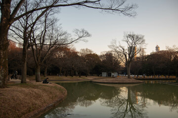 代々木公園の散歩