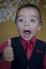 portrait of elegant little boy gesturing