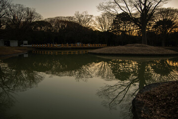 代々木公園の散歩