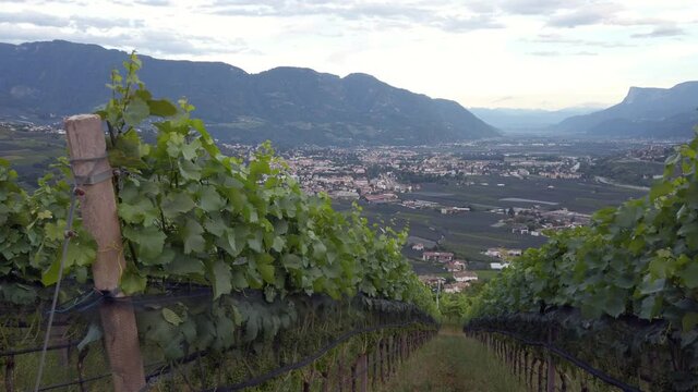 Slow pan right across the Merano valley at dusk, Italy