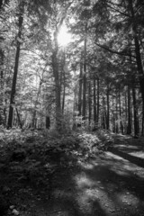 Black River Hike - Upper Peninsula, Michigan - October 2021