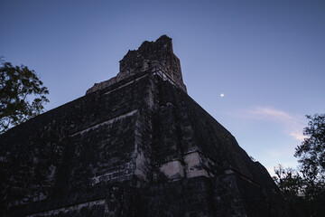 Mayan temple in the jungle