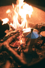 campfire in the forest