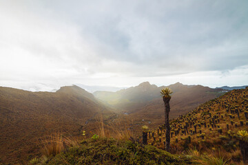 landscape with clouds