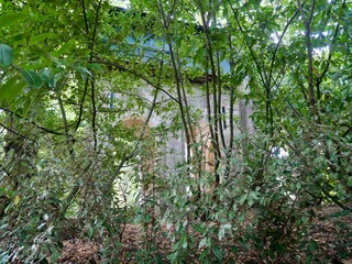 Domaine du ch&acirc;teau de Chaumont-sur-Loire