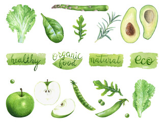 Healthy green vegetables and fruits. Avocado, apple, peas, lettuce, spinach, asparagus, arugula. Organic food. Picture for logo, label, restaurant, cafe. Hand-drawn watercolor illustration.