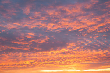 Fototapeta na wymiar Beautiful crimson sunset over the sea.
