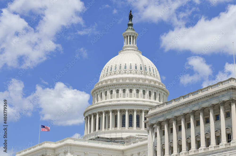 Wall mural US Capitol Building in Washington DC, United States of America