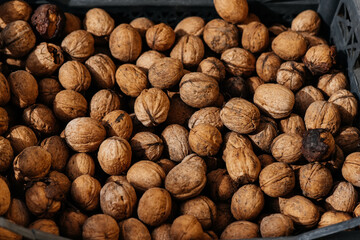 Boxes of ripe walnuts harvested from trees. Agriculture, nuts. Natural and environmentally friendly agriculture.