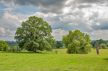 summertime scenery in the UK countryside.