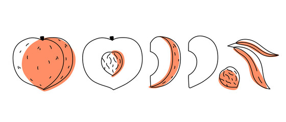 Peach outline doodle with spots. Whole, pieces, seed and leaves