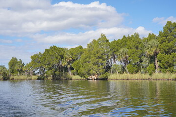 beautiful tree, clear water, house along homossasa river in winter.	