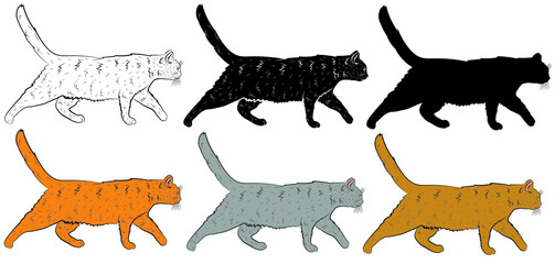 Set of Realistic   cat in profile. Vector illustration.