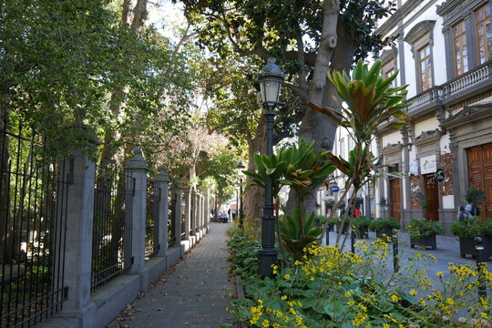 Stadtpark in Arucas