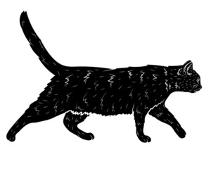 Realistic black silhouette of a walking cat in profile. Vector illustration.